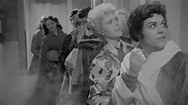 Watch The Crowded Day (1954) - Free Movies | Tubi