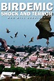 Birdemic: Shock and Terror (2010) - Posters — The Movie Database (TMDb)