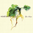 Dot Allison - Heart Shaped Scars - Album Cover POSTER - Lost Posters