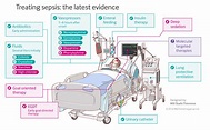 Initial resuscitation of sepsis and septic shock - Amir Salari Official ...