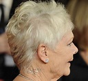 60 Cool Judi Dench Haircut Front And Back - Haircut Trends
