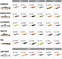 Fishing Weights Sizes Chart