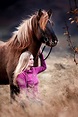 Mensch und Pferd Portrait Fotografie | Pferde fotografie, Pferde ...