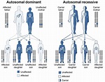 The genetics of Parkinson’s: New mutants – The Science of Parkinson's