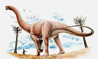 argentinosaurus by Gonzalezaurus on DeviantArt