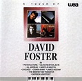 David Foster - A Touch Of David Foster (1992, CD) | Discogs