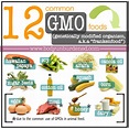12 common GMO foods