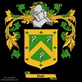Hall Coat of Arms, Family Crest - Free Image to View - Hall Name Origin ...