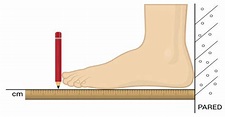 ¿Cuánto es un pie en metros?