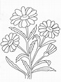 Free printable Chamomile coloring pages for kids in 2021 | Flower line ...