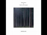 Juan Atkins & Moritz Von Oswald – Borderland III/III (2013, Vinyl ...