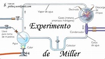 GOMEZ.Agua y Sociedad: Experimento de Miller y Urey