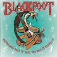 Blackfoot: Rattlesnake Rock 'n' Roll: The Best Of Blackfoot (1994)