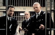 David Morse Movies and Shows You Need to Watch