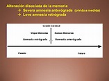 Memoria Humana - Monografias.com