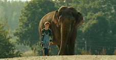 Elephant - película: Ver online completas en español