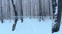 Winter Wonderland - Película 2022 - Cine.com