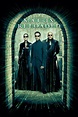 The Movies Database: [Posters] Matrix: Reloaded (2003)