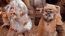 Ewoks: The Battle for Endor (1985) - Backdrops — The Movie Database (TMDB)