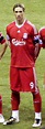 Fernando Torres - Wikipedia