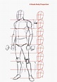 How to draw the human body step by step. How to draw a person tutorial