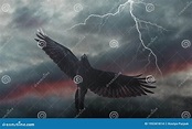 Black Raven Spreading Its Wings Flies into a Storm Against the ...