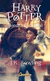 Harry Potter y la piedra filosofal (Libro 1): 9788498389166 • Nido de ...