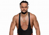 Bo Dallas new WWE profile picture : r/SquaredCircle