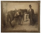 PRINT - Titled "She was Bred in Old Kentucky", copyright 189
