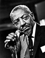SONNY BOY WILLIAMSON II discography (top albums) and reviews