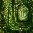 The Story Behind Ukraine’s “Tunnel of Love” | Amusing Planet