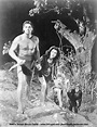Tarzan -Johnny Weissmuller, Jane - Maureen Sullivan, Boy, and Chita the ...