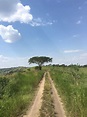 Queen Elizabeth National Park, Kasese, Uganda. [OC] [1334x750] : r/EarthPorn