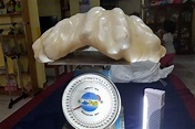 'World's largest' clam pearl found in Philippines, worth $130 million ...