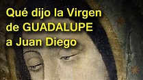 Top 36+ imagen frases de la virgen de guadalupe a juan diego - Viaterra.mx