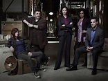Warehouse 13 renewed for 6-episode final season - The Geek Generation