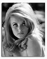 (SS2425410) Movie picture of Barbara Bouchet buy celebrity photos and ...