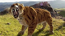Saber-toothed Tiger | Prehistoric Cats Documentary - YouTube