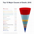 Leading Causes Of Death | The Definitive Guide for Death Data