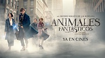 Animales Fantásticos y Dónde Encontrarlos - Tráiler Final Castellano HD ...