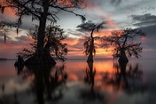 Smooth sunset - Louisiana, December 2017 | Sunset, Landscape features ...