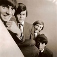 The Monkees - The Monkees Photo (29633084) - Fanpop