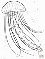 Jelly fish coloring page | Free Printable Coloring Pages