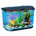 5 Gallon Fish Tanks - Options and Reviews 2023 | A Little Bit Fishy