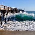 Newport Beach Balboa Pier Fishing Report - All About Fishing