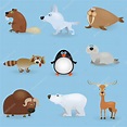 Animales De La Tundra Dibujos / Ilustracion De Siluetas De Animales De ...