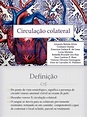 Circulao Colateral Grupo F | Veia | Sistema Circulatório