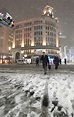 大雪：東日本に白い嵐 東京都心2年ぶりの積雪 | 毎日新聞