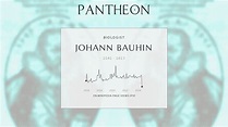 Johann Bauhin Biography - Swiss botanist (1541–1613) | Pantheon