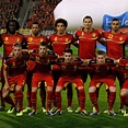 Belgium World Cup 2014: Team Guide for FIFA Tournament | Bleacher Report